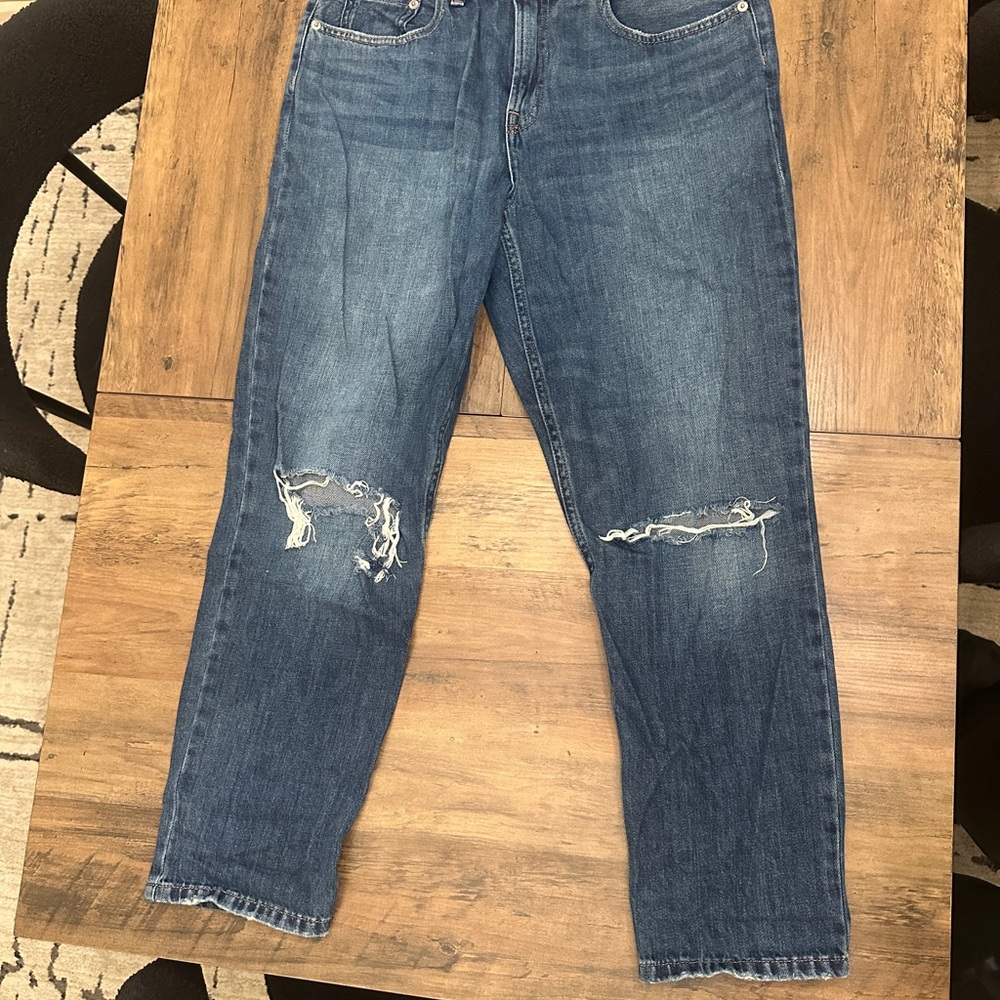Everlane Classic Boyfriend Blue Jeans